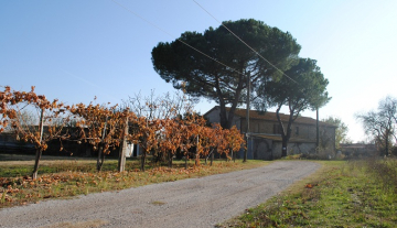 VENDESI PORZIONE DI CASALE CORTONA