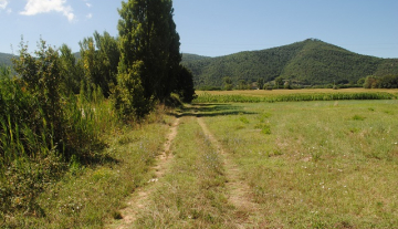 VENDESI TERRENO AGRICOLO CORTONA